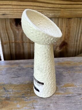 Brooks & Collier Textured Ceramic Iggy Tillandsia / Air Plant Holder